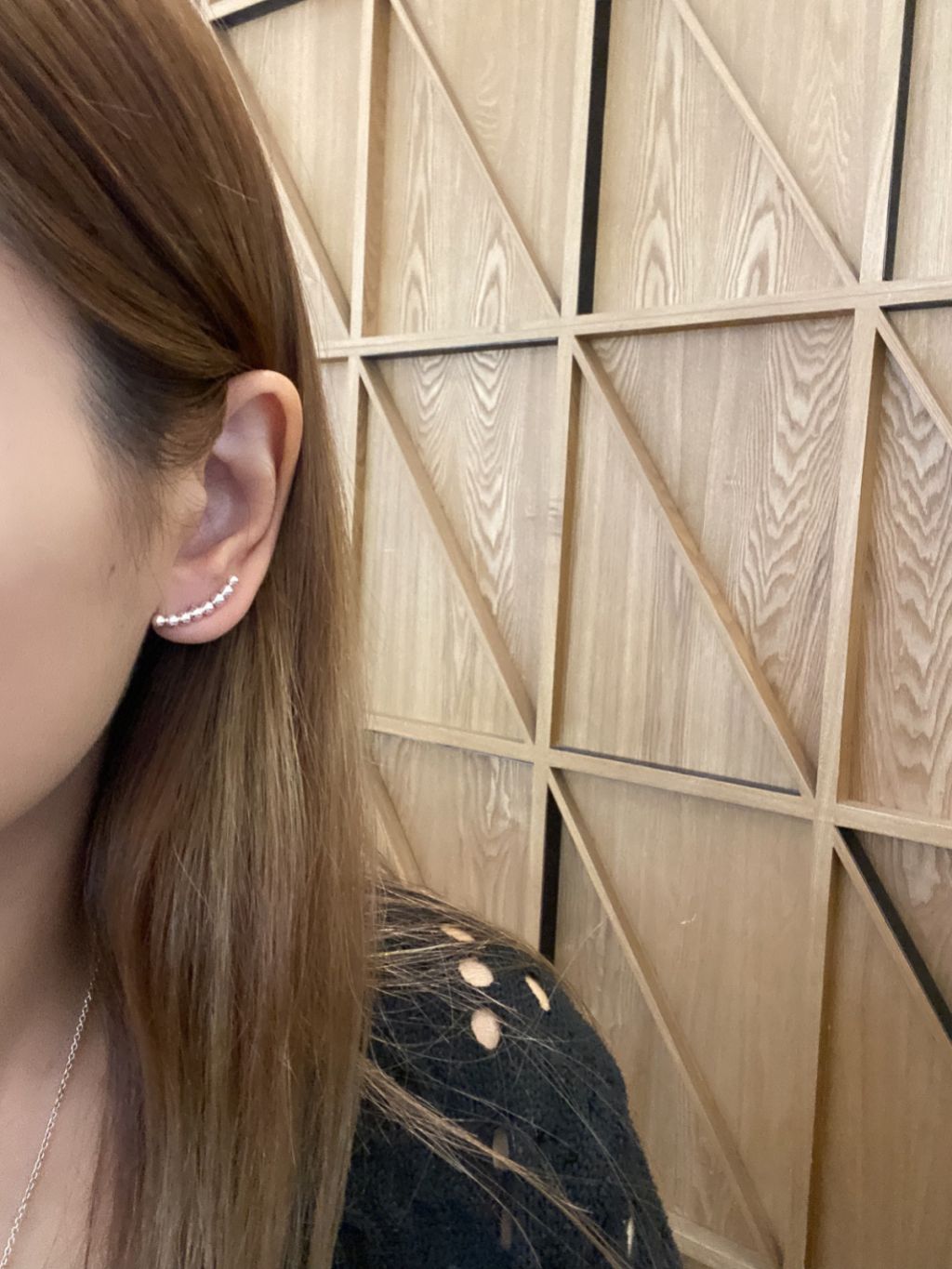 E1370 Shaped Bead Earrings