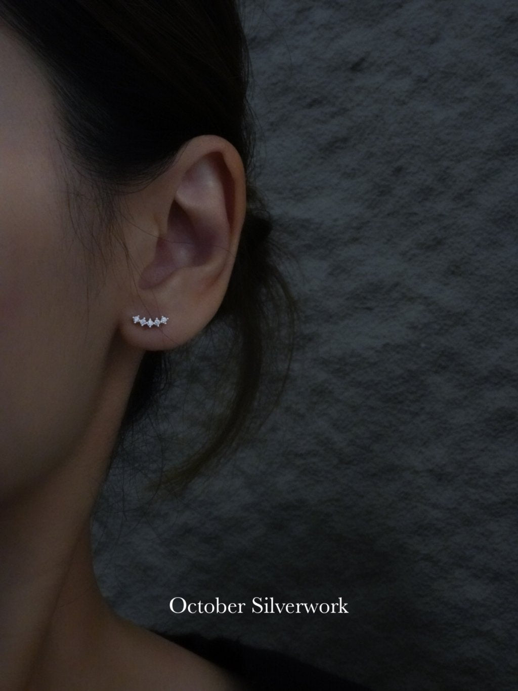 E1498 Smile Zircon Earrings
