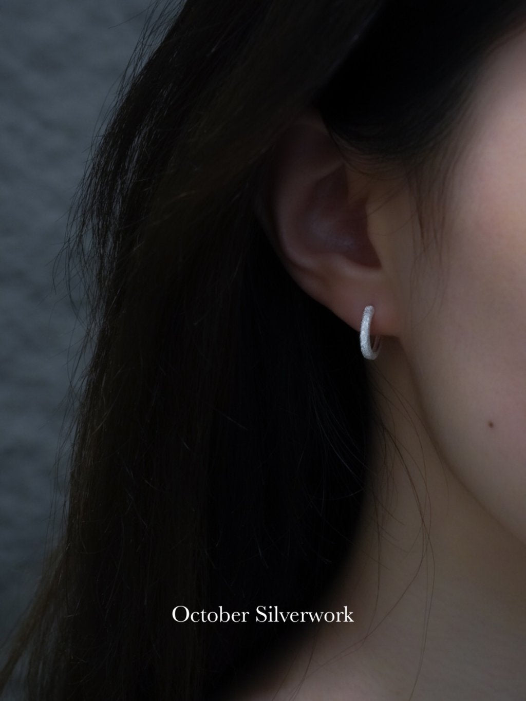 E1500 Shimmering Frosted Earrings